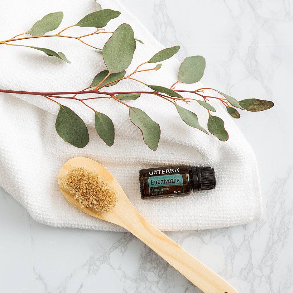 8_Eukalyptus_940x940_1