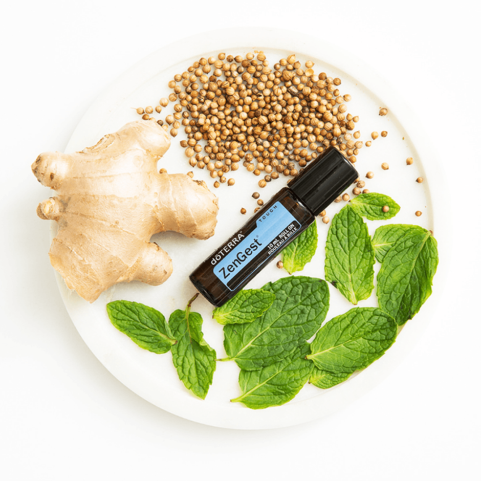 DigestZen_Ingwer_940x940_1