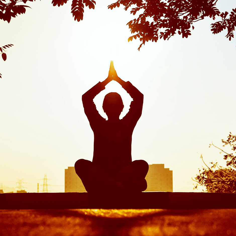 DigestZen_Ingwer_940x940_4